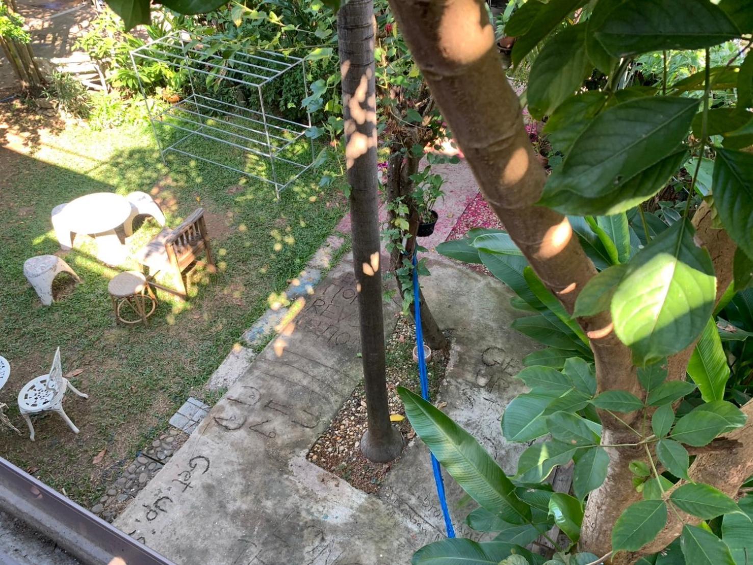 Banban Nannan Library And Guesthome Ngoại thất bức ảnh